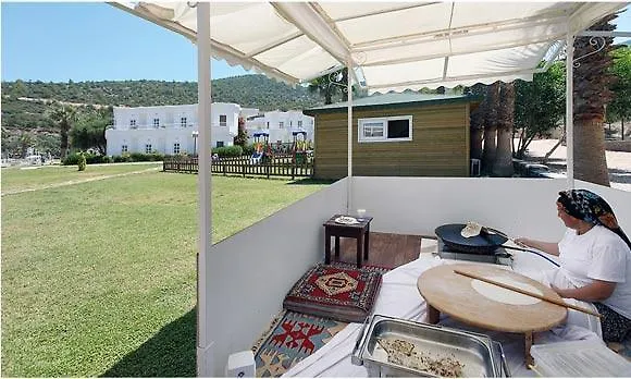 Etap Altinel منتجع Ayvalı